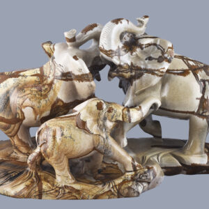 picture-jasper-elephant-family